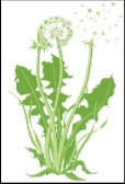 Pusteblume Musikschulverein Rhede e.V. Anmeldung Musikalische Früherziehung